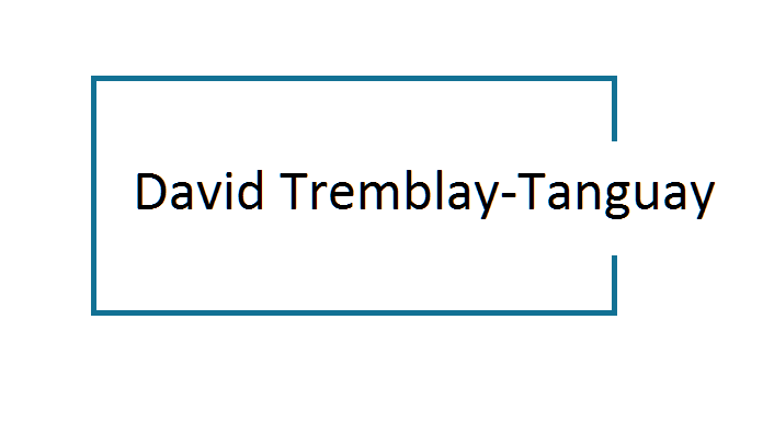 Services Financiers David Tremblay-Tanguay